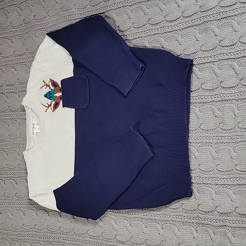Cat & Jack 4t Reindeer Sweater